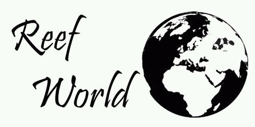 ReefWorld2012's profile picture. 