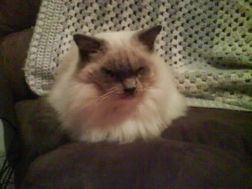 staceybr's profile picture. Widowed with 3 wonderfull children, living on the central coast of NSW Australia, Stay at home mum due to a back injury but life is ok.