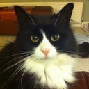 Martin Head - @Martin__Head - Twitter