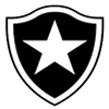 Todas as notícias do Botafogo