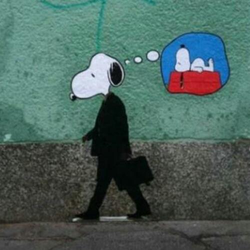 Taibsh's profile picture. 