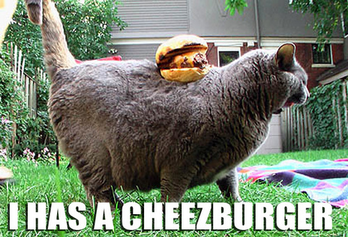 mathesond's profile picture. 