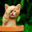 Thein Soe Lin - @TheinLin - Twitter