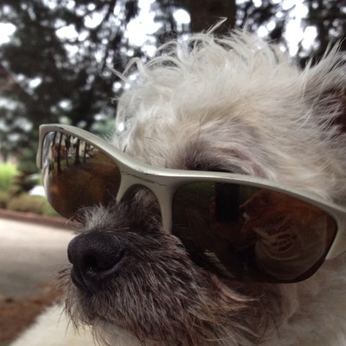 erismiller's profile picture. 