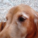 Eric Greer - @greereric2010 - Twitter