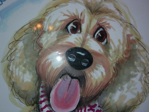 check out http://t.co/XpR2CbXS a blog about dog stuff featuring Murray the Goldendoodle and Piper the Golden Retriever. facebook - http://t.co/LpSFo4pb