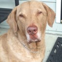 Michael Feibelman - @2nd_mike - Twitter