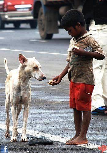 Aleph349Alfredo's profile picture. 