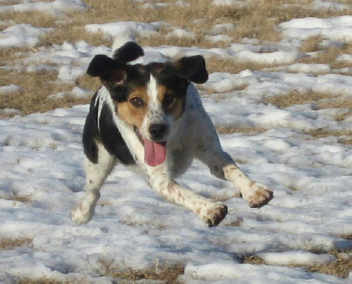 angelann63's profile picture. 