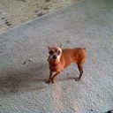 sandi ryan - @sandisuzie - Twitter