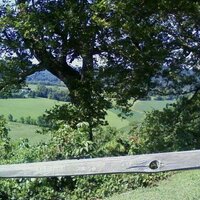 Maury County Fair (@maurycountyfair) 's Twitter Profile
