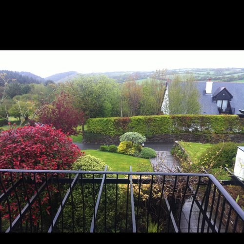 alziyadi001's profile picture. 