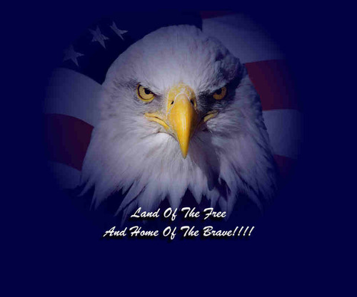 Fred_Harvey's profile picture. Conservative, Constitutionalist, Entrepreneur, Free Market Capitalist, NRA Member, DTOM