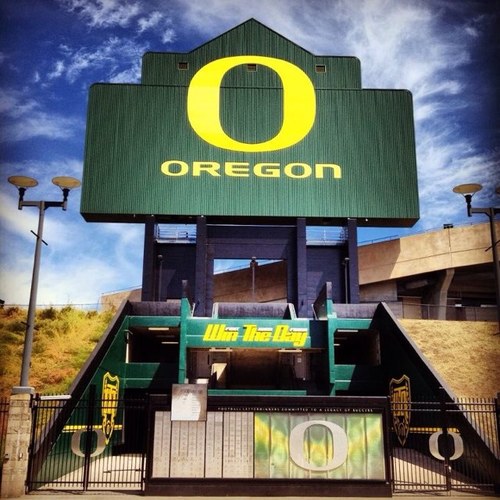 DuckMarty3's profile picture. 