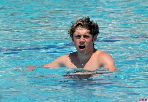 Elise1Dxx's profile picture. Dunno mate, im just an aussie. And i spend my time fangirling most of the time. Yep.. Only over the 5 lads. Ask for a follow back! .xx