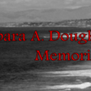 BarbFranklinFDN - @BarbFranklinFDN - Twitter