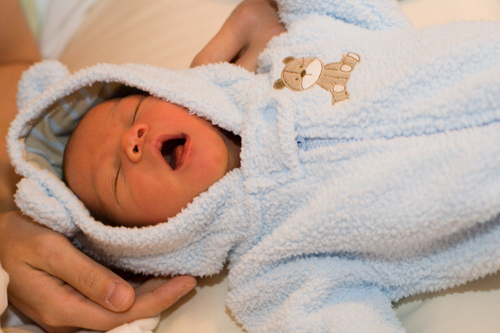 quasifu's profile picture. 