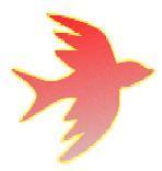 KermisTuindorp's profile picture. Vereniging Kleintje Kermis Tuindorp, schutterij, PCL, Tolkamer, Buurthuis, gezelligheid, ongedwongen, voor iedereen, 2e zaterdag september, 1e zaterdag april