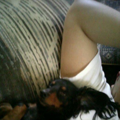 Giemmer's profile picture. Don't be a follower be a leader.