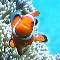 Мико Эгв (@iloli_golgo) 's Twitter Profile