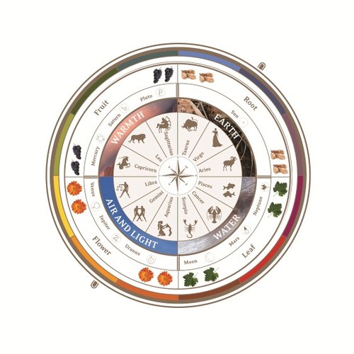 The constellations within the Zodiac govern many aspects of biodynamic farming and Avondale believes that it also plays a role in how we experience wine.