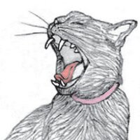 רפי (@izeffren) 's Twitter Profile Photo רפי (@izeffren) 's Twitter Profile Photo