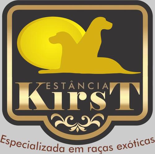 A Estância Kirst é Canil, Pet Hotel, além da criação de outros animais como psitacídeos e coelhos. Fruto do amor de um gaúcho e de uma cearense.