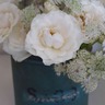 Mossflorist's profile picture. Former florist