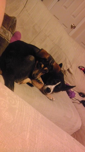 CaptinRobRoy's profile picture. Just living life one day at a time and just trying to enjoy the ride