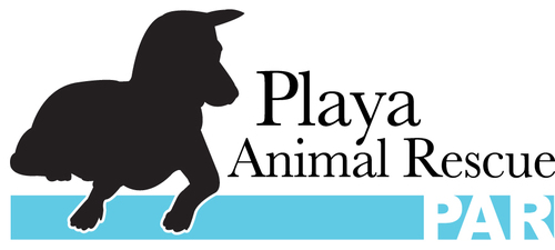 Playa Animal House A.C. d/b/a Playa Animal Rescue is a non-profit, no-kill animal shelter located in Playa del Carmen, Mexico.