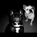 Malena Barrera - @NSM31 - Twitter