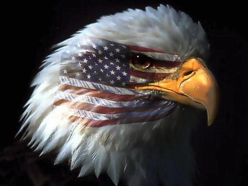 The Most American Account on Twitter. Follow me or you're a commie. - #MURICA #America #OnlyInAmerica