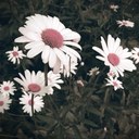 Georgia Malcolm - @GiMalcolm - Twitter