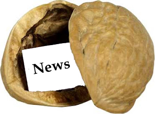 newsnutshell's profile picture. A satirical light hearted view at what's going on in the news, in a nutshell.  This Twitter feed is new, please follow and help it grow