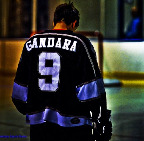david_ganduget's profile picture. AIC hockey alum. California