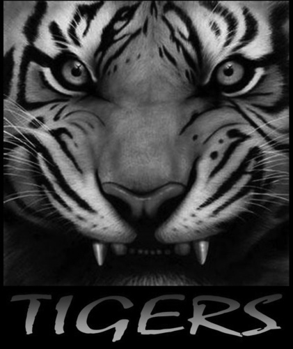 Official Twitter feed for the Oakville High School Swim and Dive Team. Go Tigers!!!