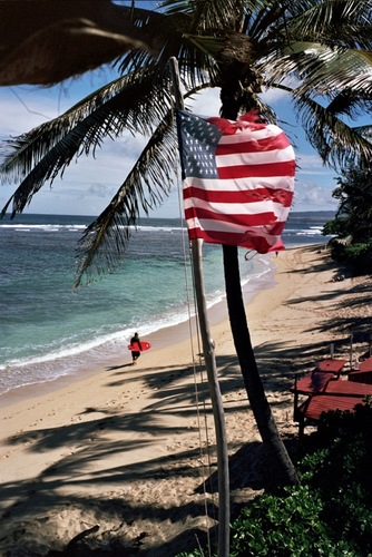 NicolasOgawa's profile picture. 