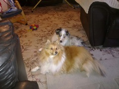 helen_rodwell's profile picture. I am a specialist nurse working with yp who are sexually exploited in Bradford, mum to 3 great kids actively involved in disability football particularly CP.