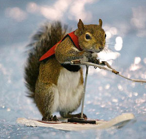 TheChrisMalcolm's profile picture. Maid Marian: You never wrote. Robin Hood: I don't know how.