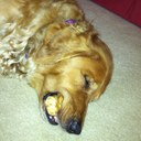 chris desalvo - @DesalvoChris - Twitter