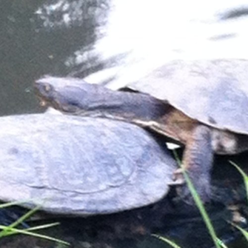 leonard720's profile picture. 