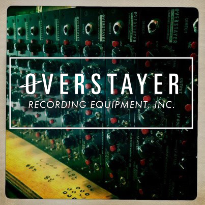 Overstayer Profile