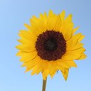 Alexandra Pratt - @AlexandraPratt4 - Twitter