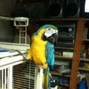 maria pinos - @pinosmi - Twitter