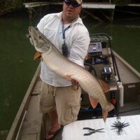 Billy Davis (@meltonhillbill) 's Twitter Profile