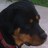 cain_cathie's profile image