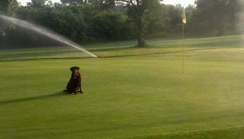 Superintendent Royce Brook GC, 36 hole facility with both a private & public course in Somerset County NJ. Also fishing, horse racing, & dirt track racing.