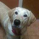 Glenda Farley Harris - @glendafharris - Twitter