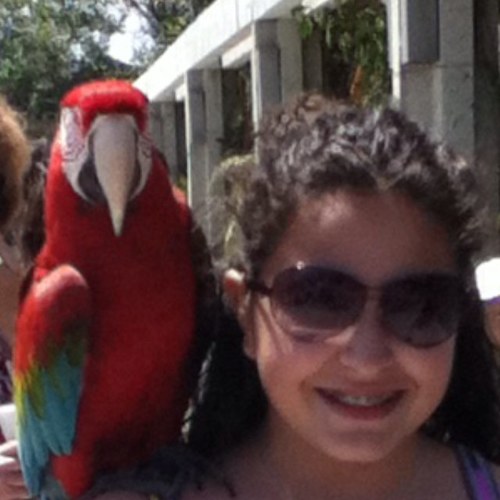 PriscilaE99's profile picture. 