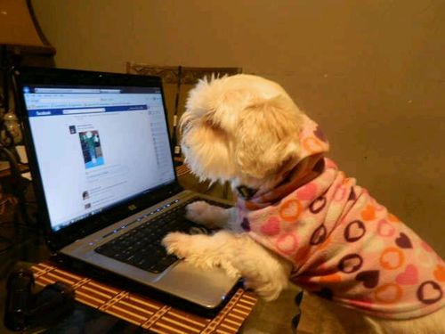 careyk40's profile picture. 